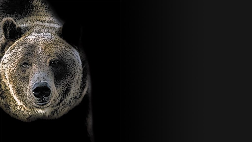 Automatización y Software para la Fabricante de Herramientas y Moldes